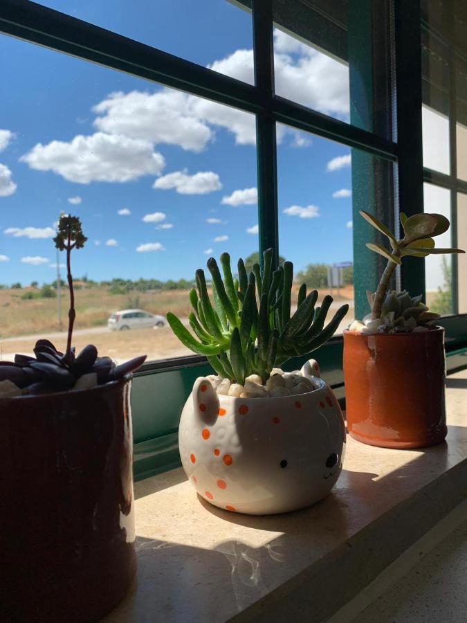 Casa Mineira Guest House フェレイラス エクステリア 写真