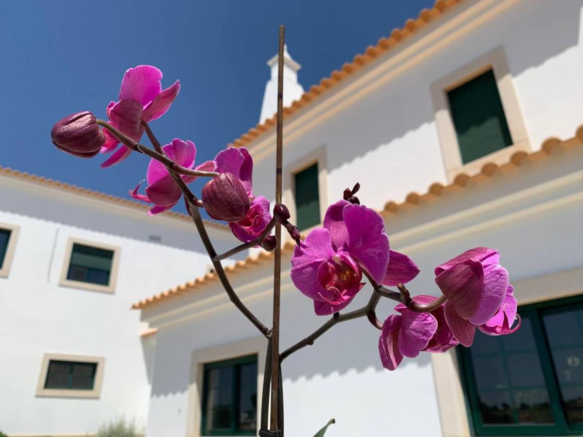 Casa Mineira Guest House フェレイラス エクステリア 写真