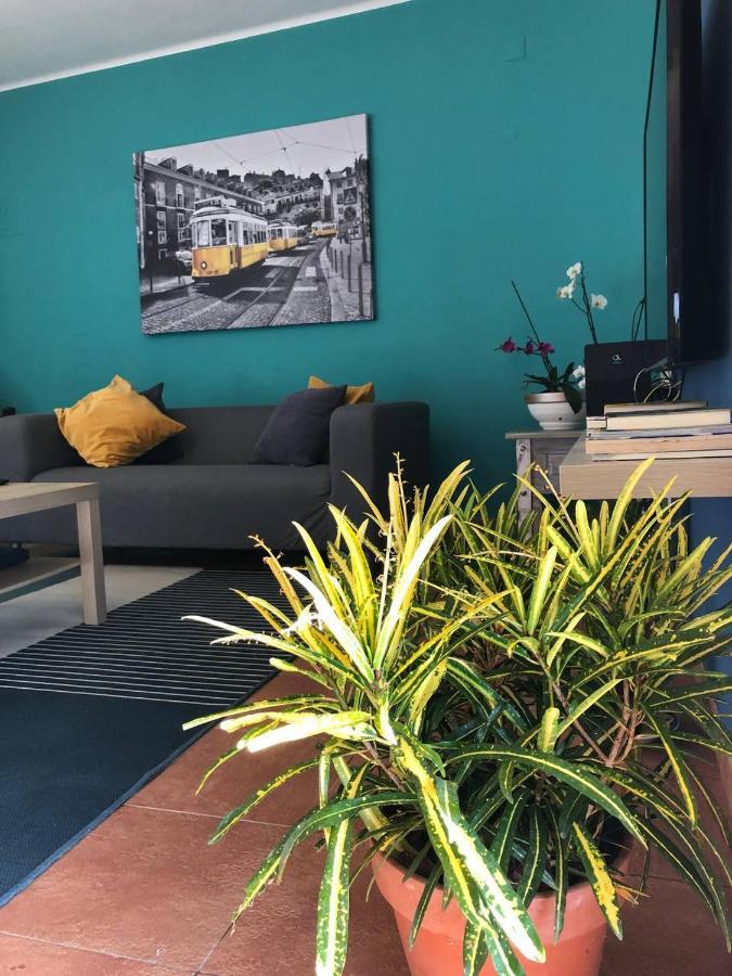 Casa Mineira Guest House フェレイラス エクステリア 写真